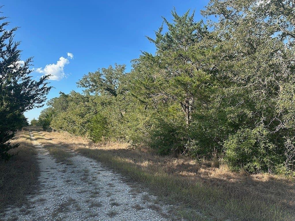 14.21 acres in Fayette County - photo 5