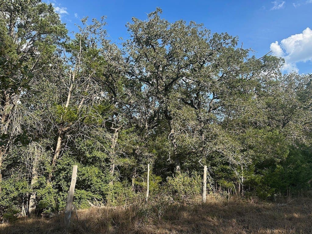 14.21 acres in Fayette County - photo 2