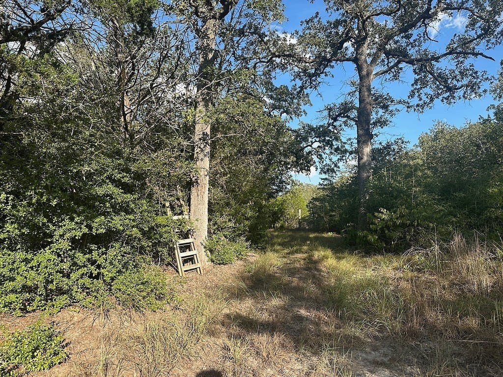 14.21 acres in Fayette County