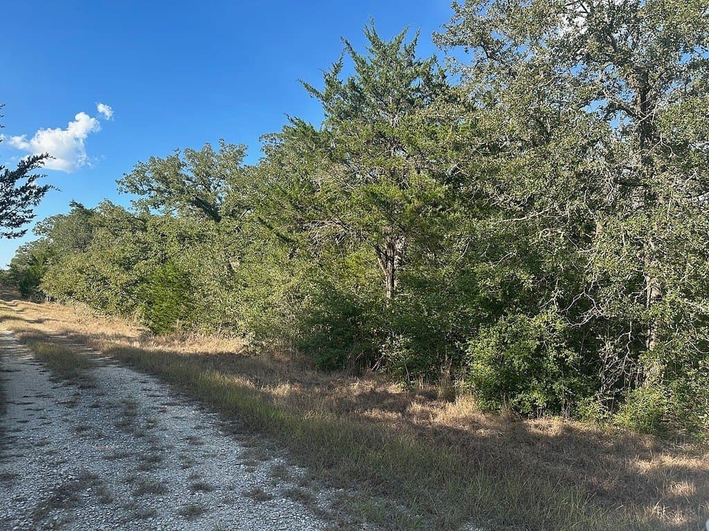 14.21 acres in Fayette County - photo 3