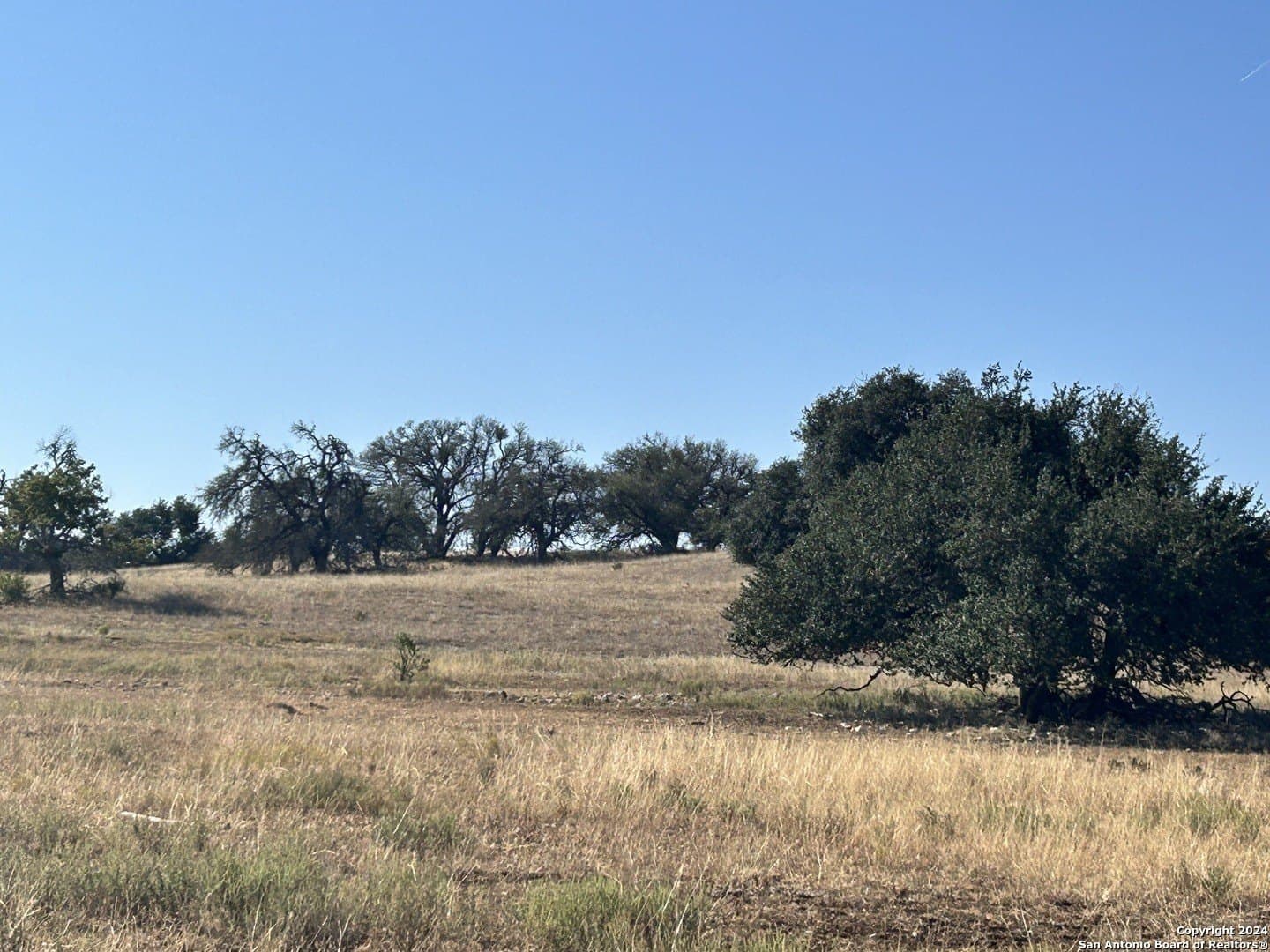 10.05 acres in Gillespie County - photo 25