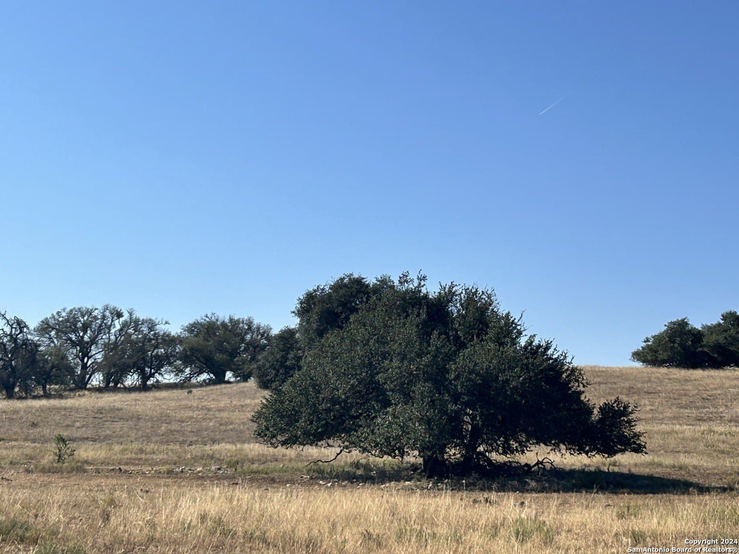 10.05 acres in Gillespie County - photo 26