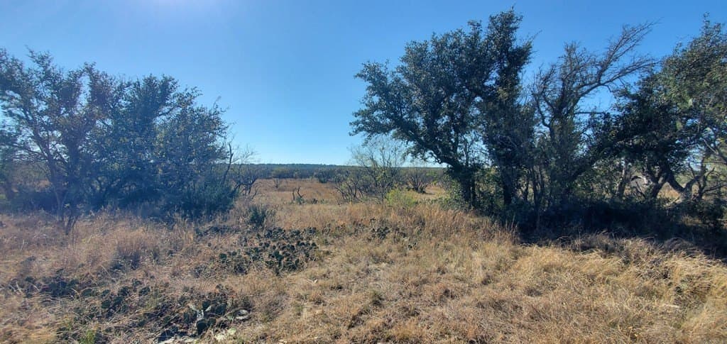16.26 acres in Menard County - photo 8