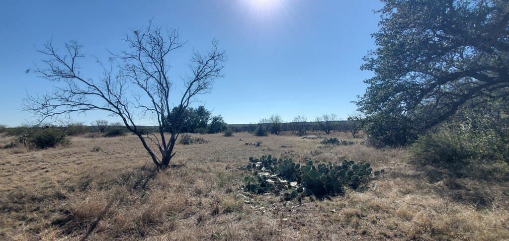16.26 acres in Menard County - photo 9