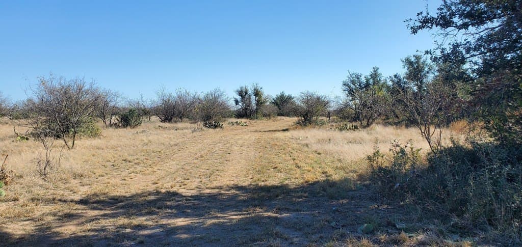 16.26 acres in Menard County gallery image 2