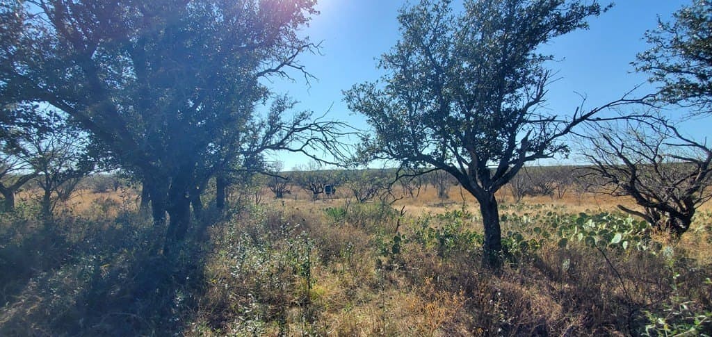 16.26 acres in Menard County - photo 7