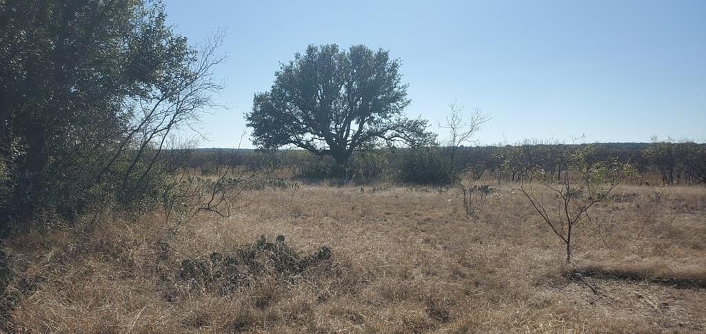 16.26 acres in Menard County
