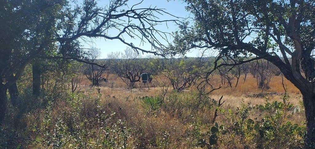 16.26 acres in Menard County - photo 6