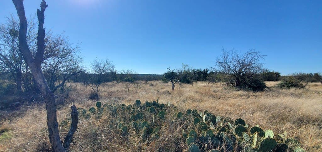 16.26 acres in Menard County - photo 10