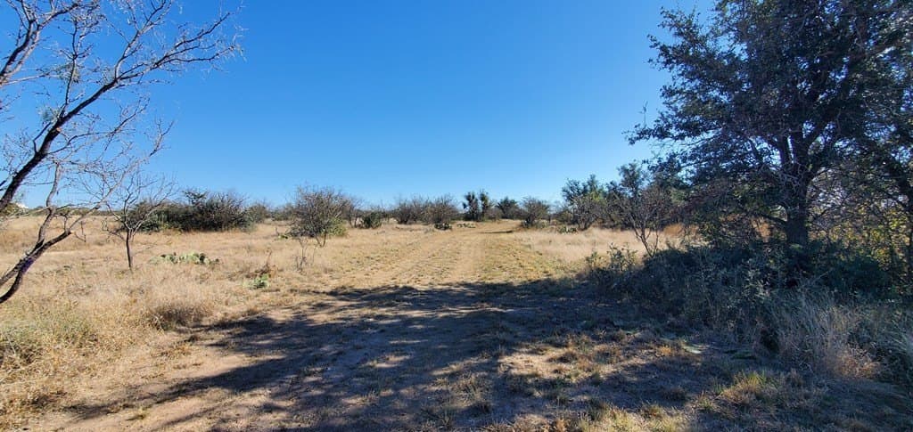 16.26 acres in Menard County gallery image 3