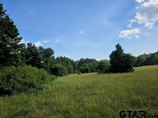 39.1 acres in Rusk County - photo 2