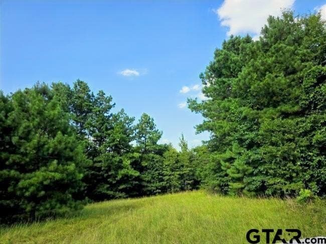 39.1 acres in Rusk County - photo 5