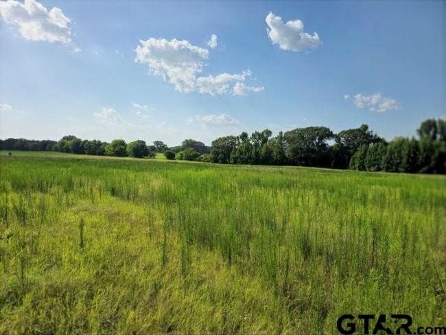 39.1 acres in Rusk County - photo 4
