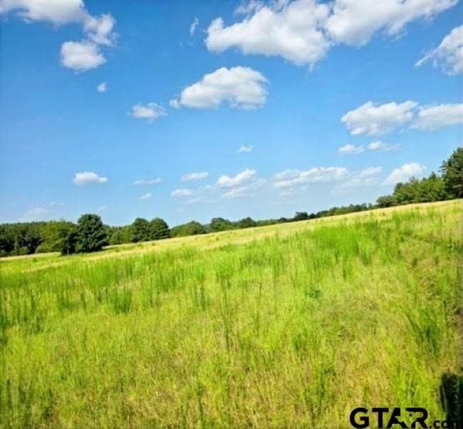 39.1 acres in Rusk County - photo 3