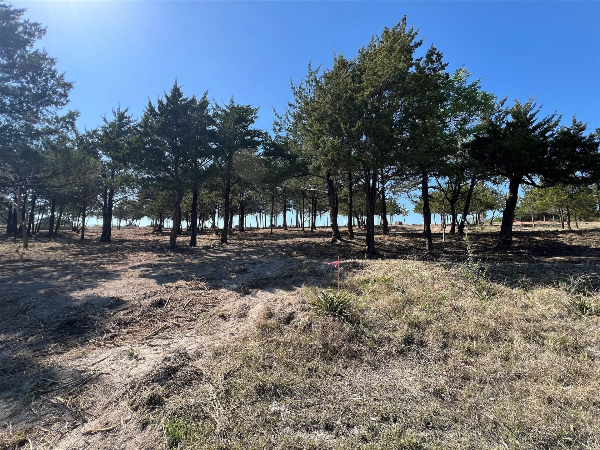 1.54 acres in Ellis County - photo 2