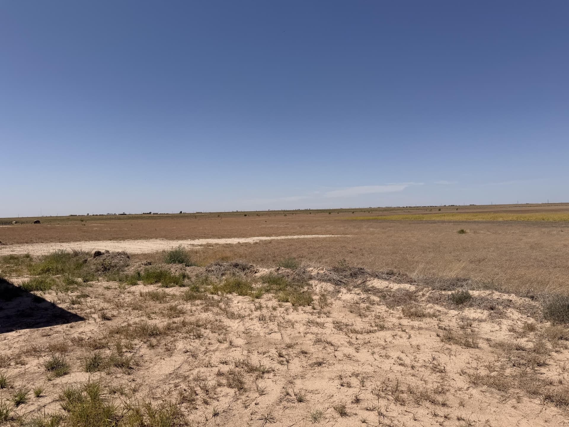 52.23 acres in Lubbock County - photo 3