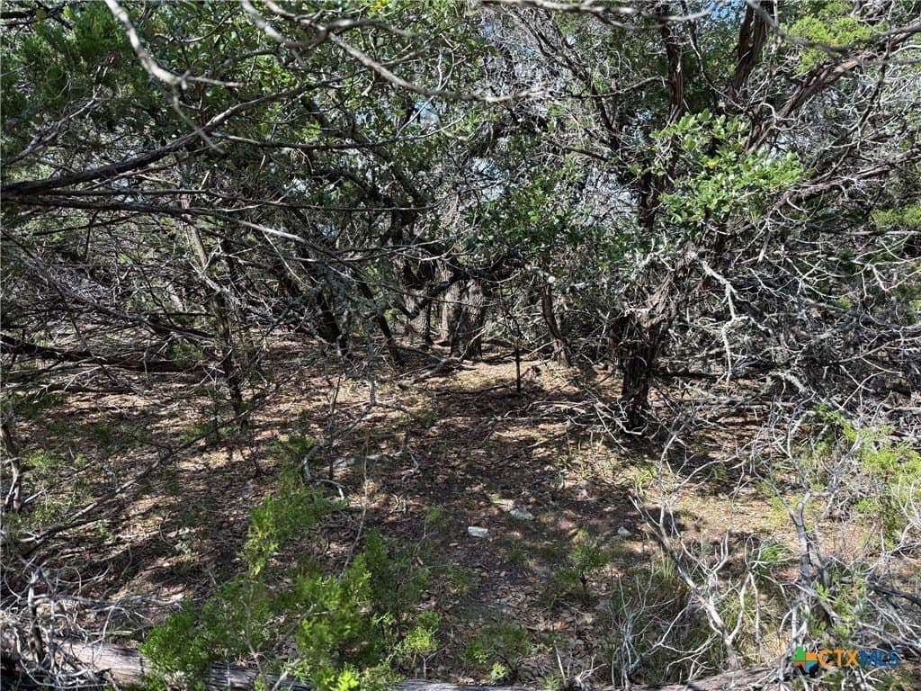 1.04 acres in Comal County featured view