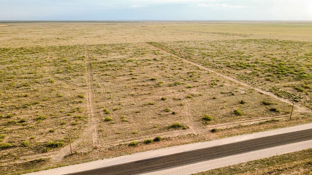 10.01 acres in Andrews County gallery image 3