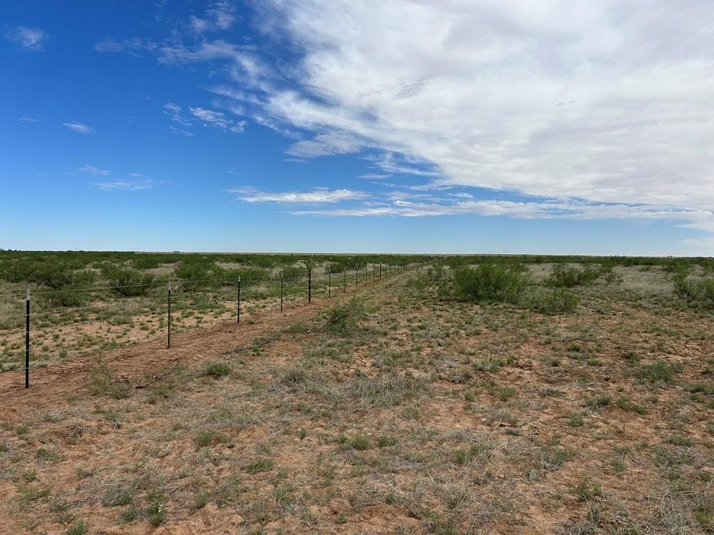 10.01 acres in Andrews County - photo 15