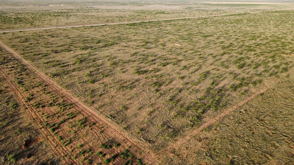 10.01 acres in Andrews County featured view