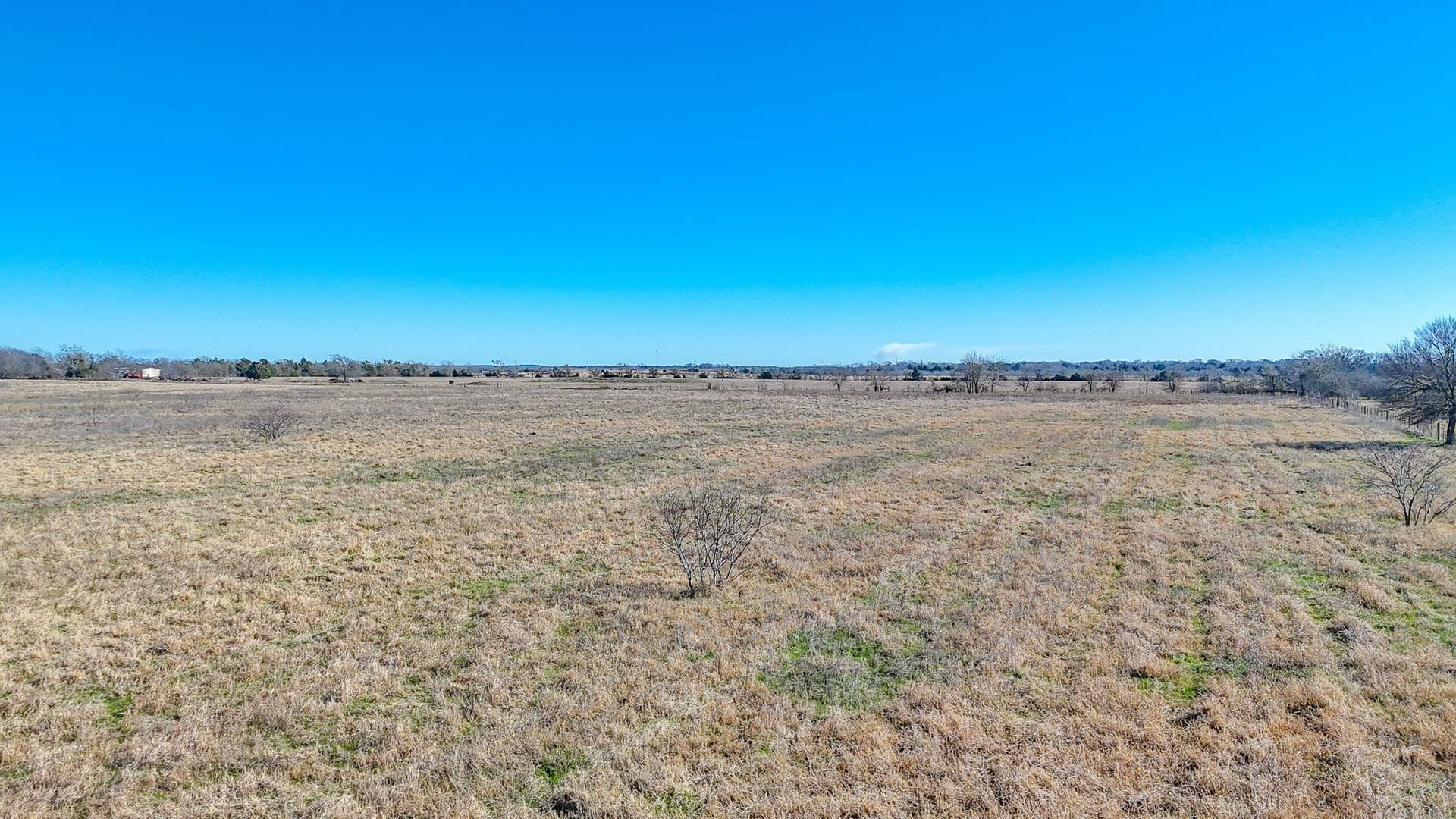 5.02 acres in Navarro County - photo 4