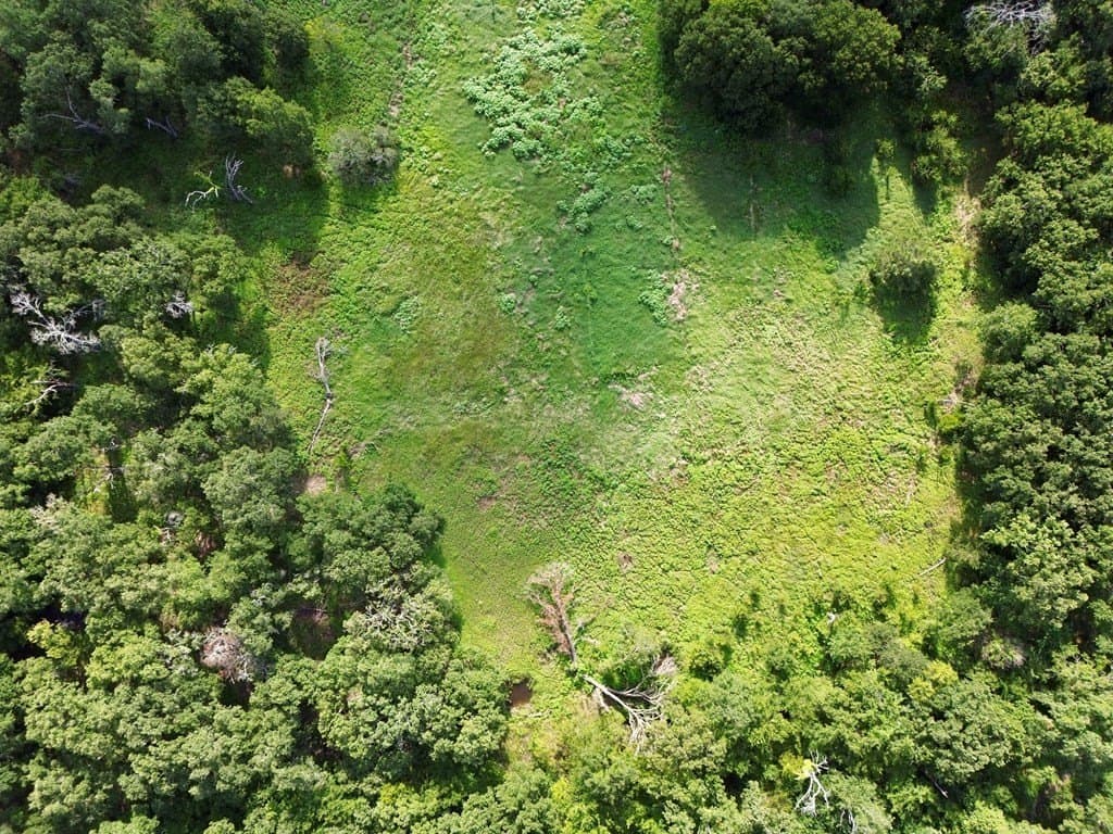 5 acres in Kaufman County gallery image 3