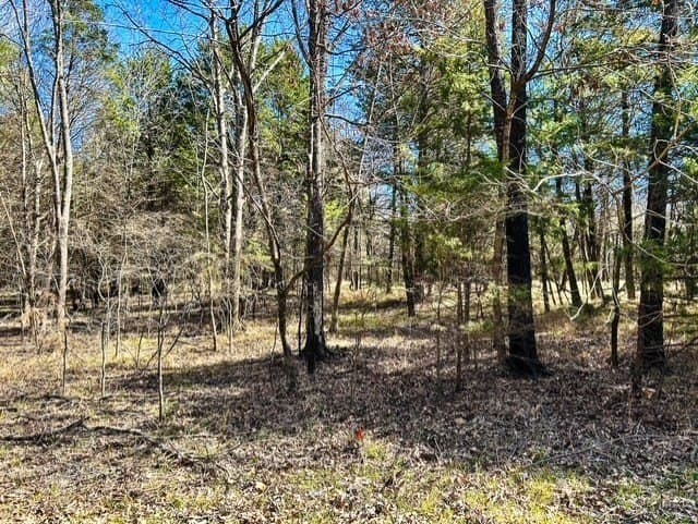 24.17 acres in Rains County - photo 10
