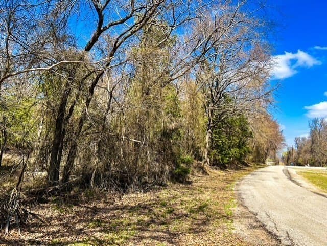 24.17 acres in Rains County - photo 18
