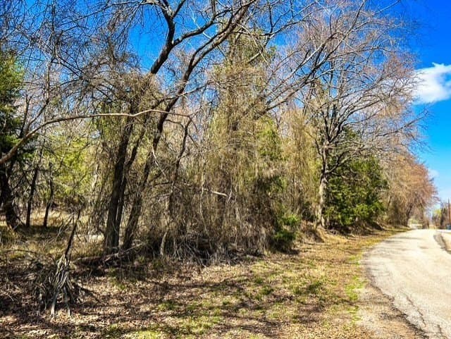 24.17 acres in Rains County - photo 19