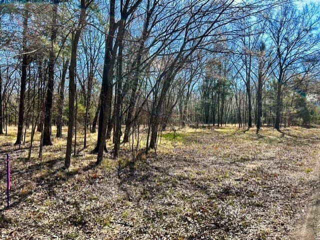24.17 acres in Rains County - photo 16