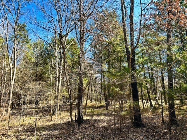24.17 acres in Rains County - photo 11