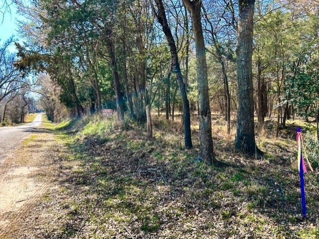24.17 acres in Rains County - photo 17