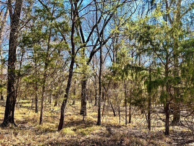 24.17 acres in Rains County - photo 12
