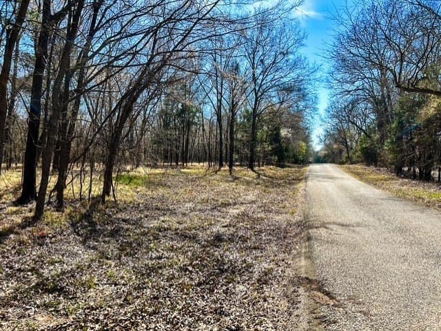 24.17 acres in Rains County - photo 15