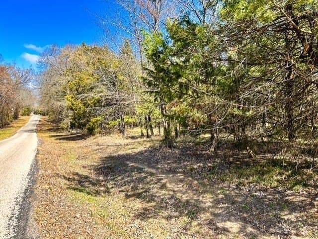 24.17 acres in Rains County - photo 8