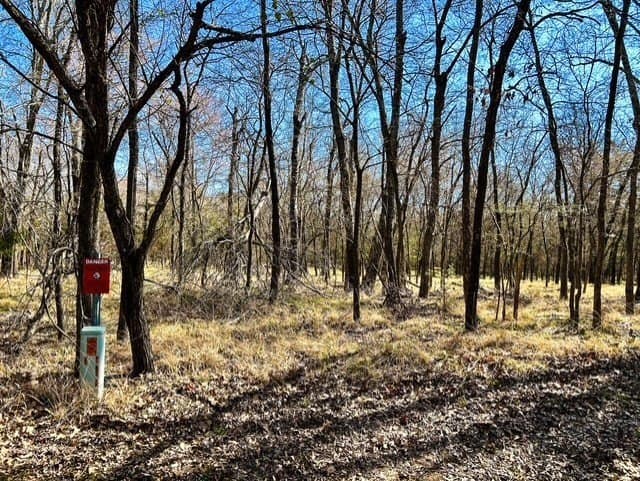 24.17 acres in Rains County - photo 14