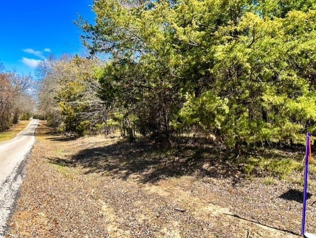 24.17 acres in Rains County - photo 9