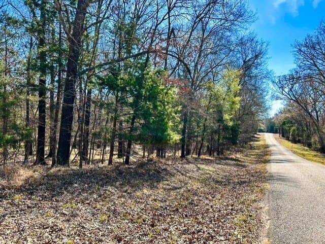 24.17 acres in Rains County - photo 13