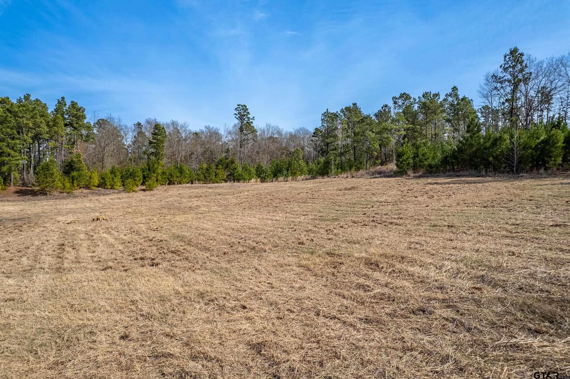 27.67 acres in Anderson County - photo 9