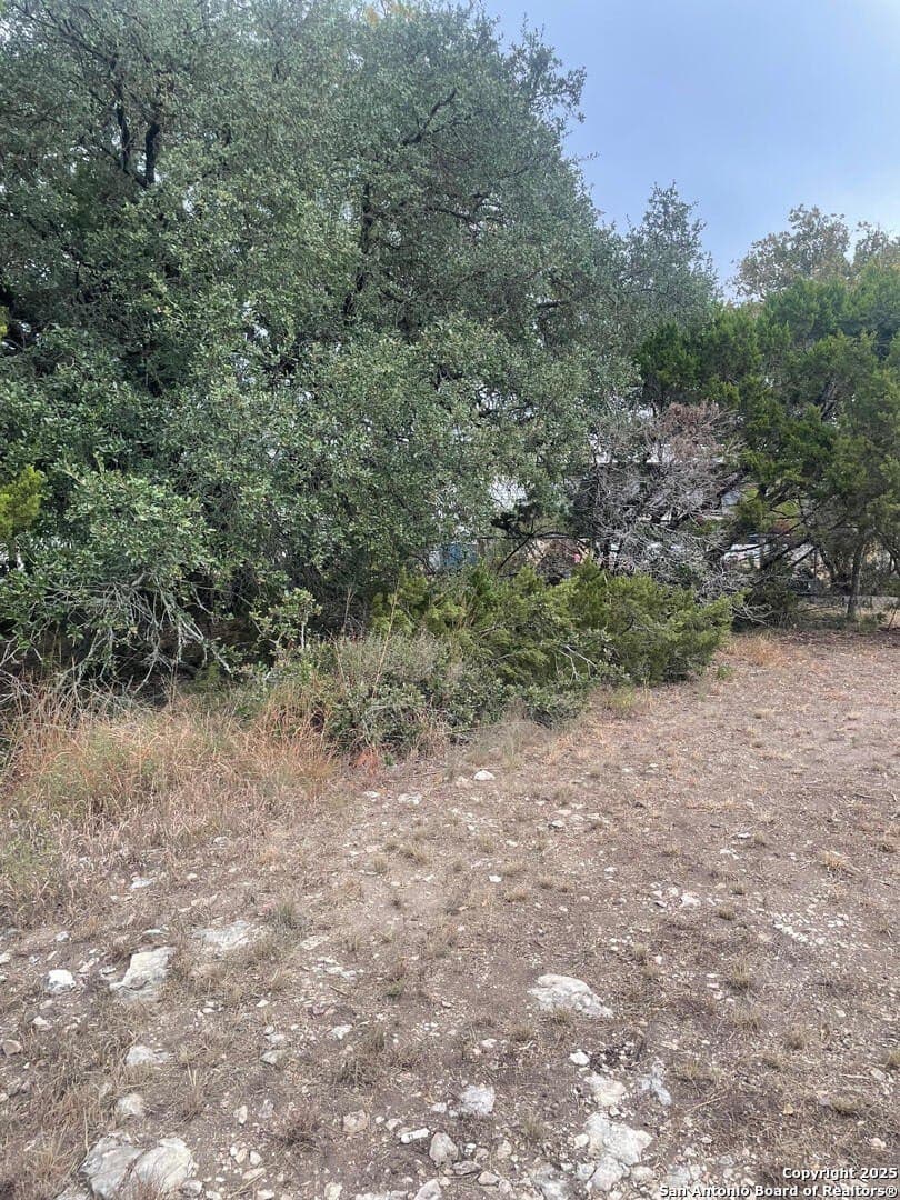 0.11 acres in Comal County gallery image 3