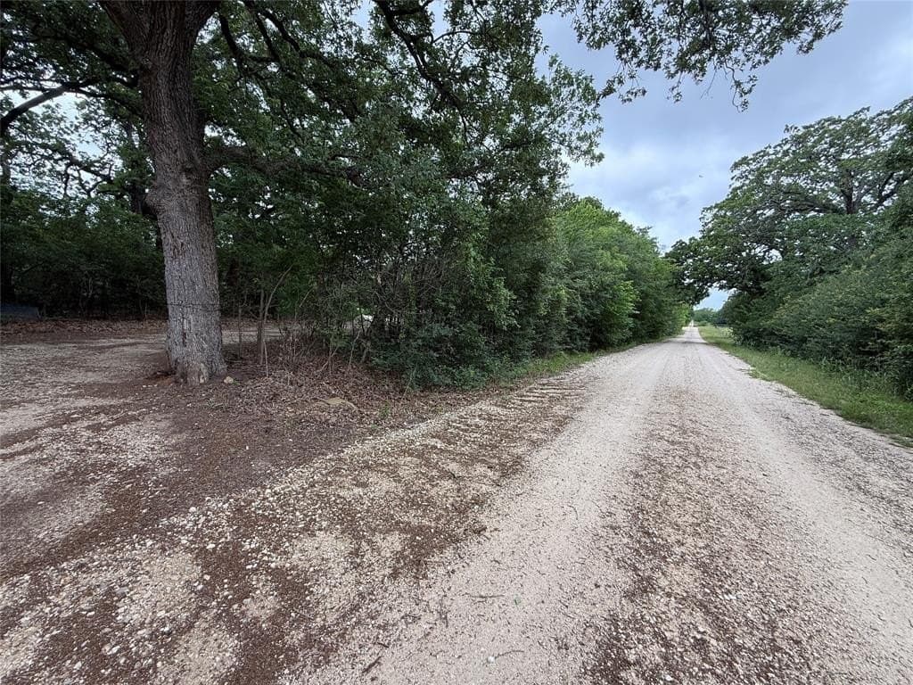 125.75 acres in Navarro County gallery image 4