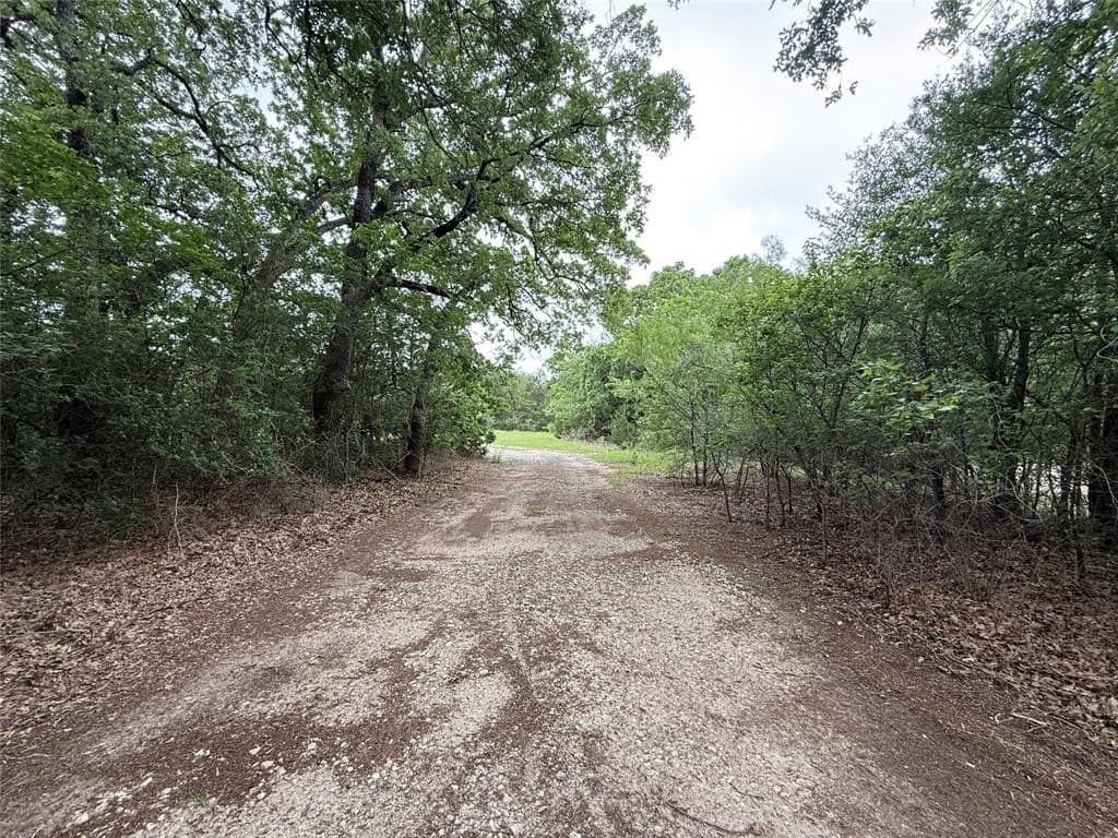 125.75 acres in Navarro County featured view