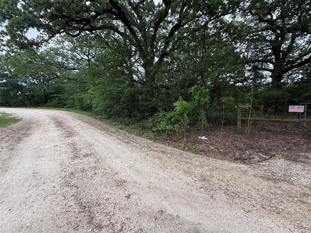 125.75 acres in Navarro County gallery image 3