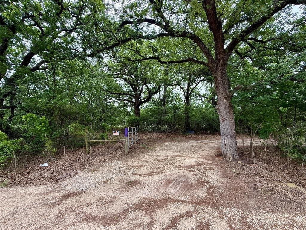 125.75 acres in Navarro County gallery image 2