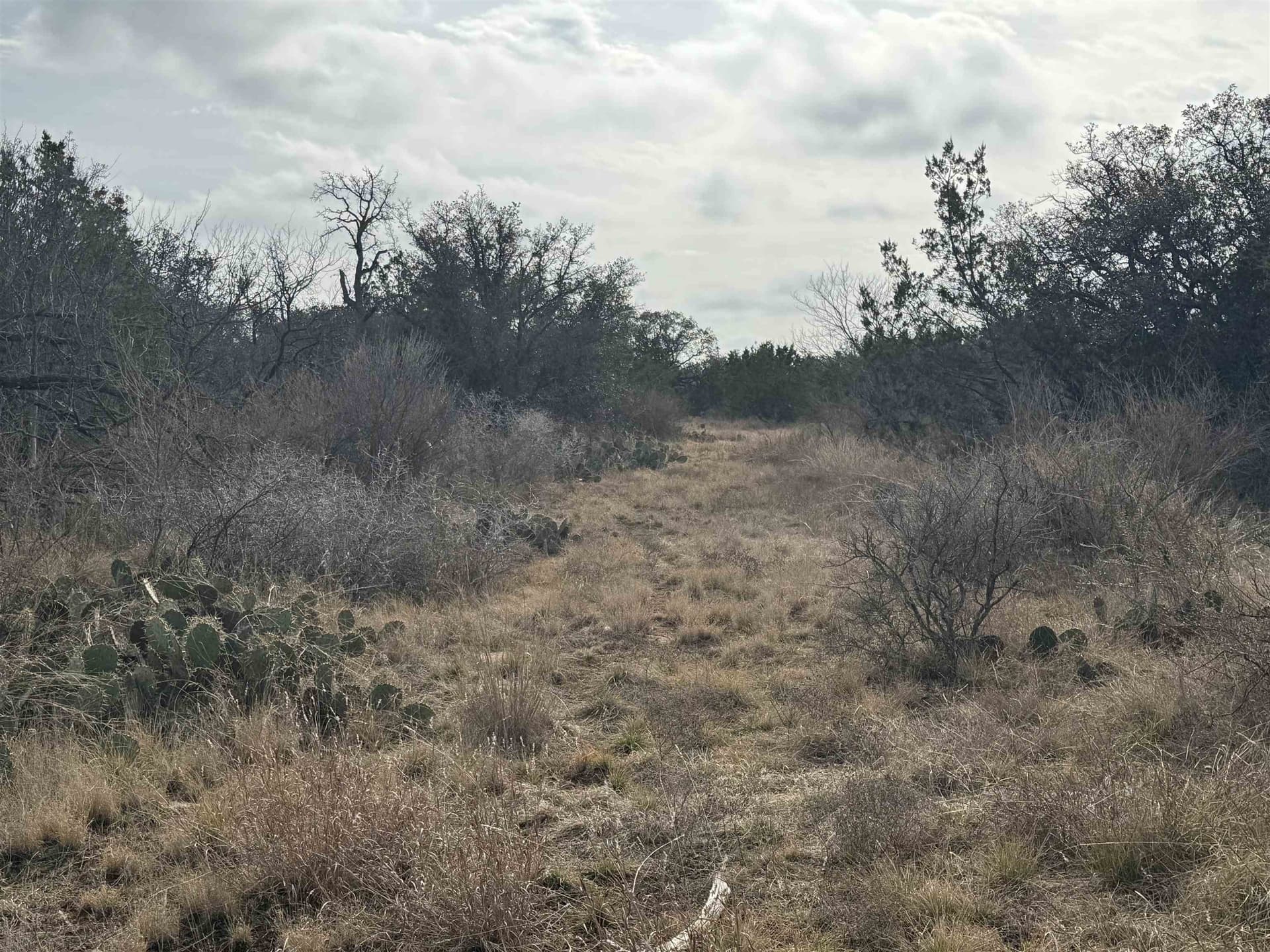 118 acres in McCulloch County gallery image 3