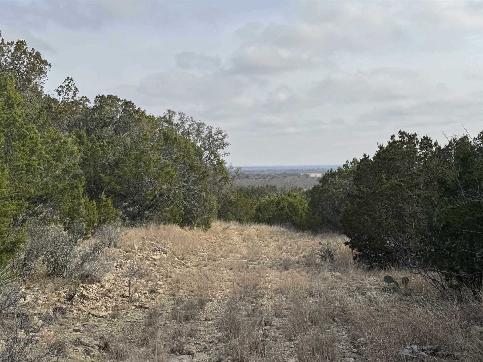 118 acres in McCulloch County gallery image 4