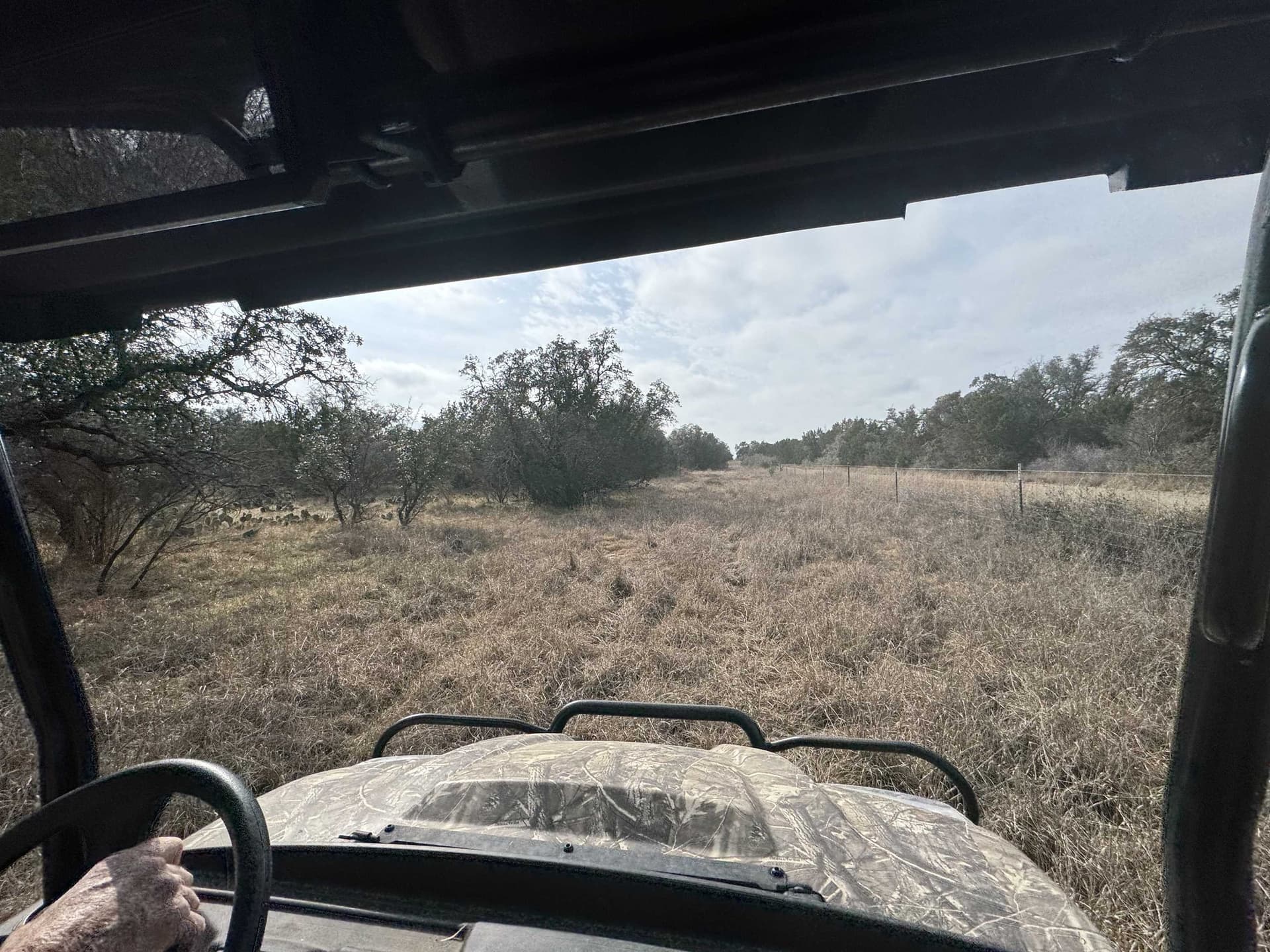 118 acres in McCulloch County - photo 8
