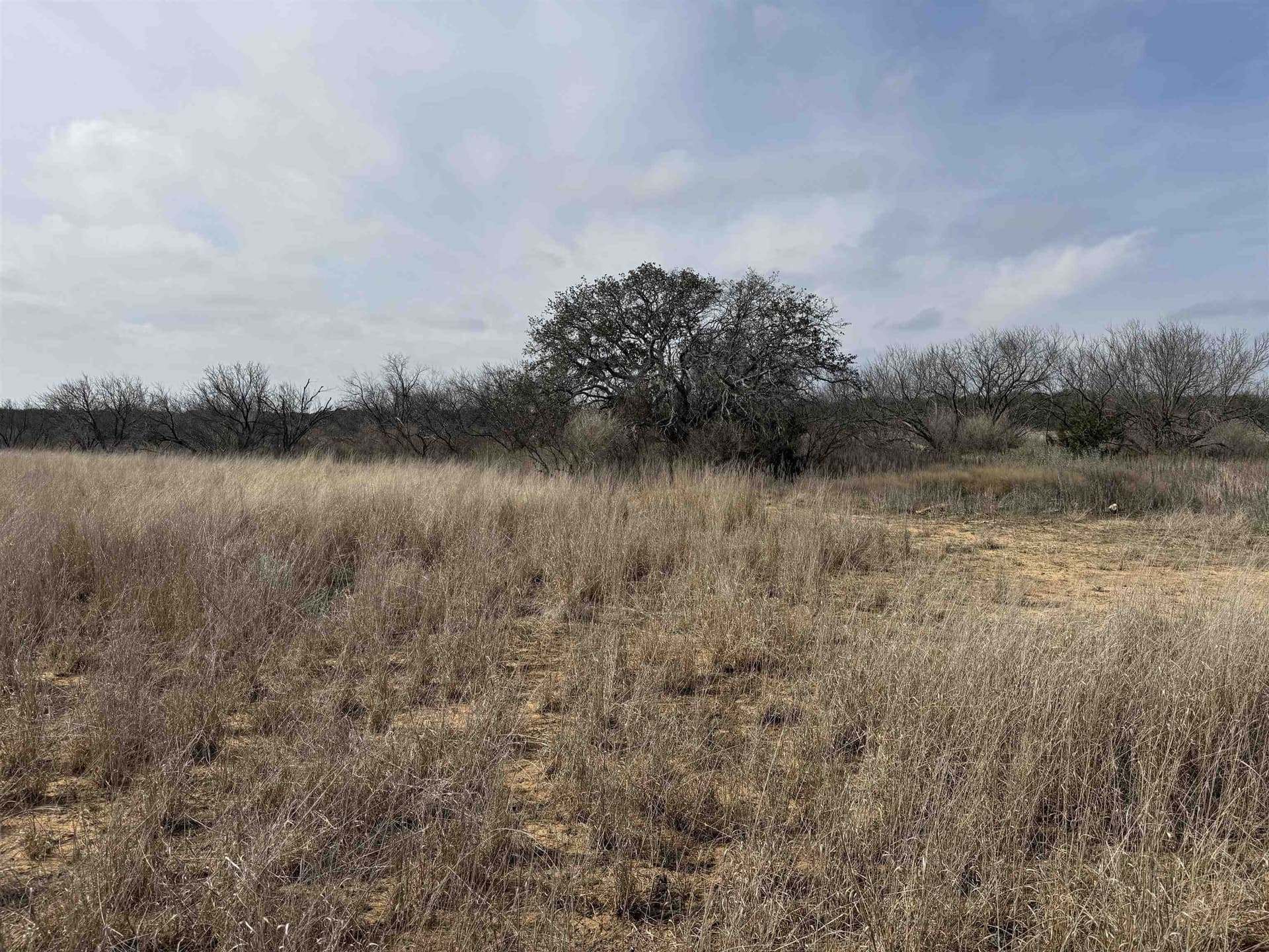 118 acres in McCulloch County featured view
