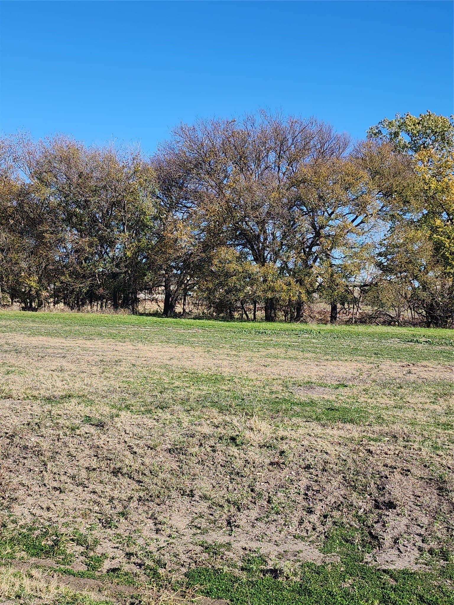 2 acres in Parker County - photo 8