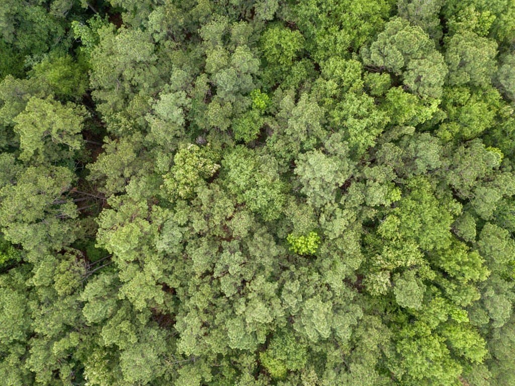 17.01 acres in Texas County - photo 9